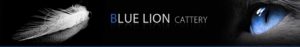 Blue Lion Cattery Logo